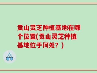 贡山灵芝种植基地在哪个位置(贡山灵芝种植基地位于何处？)