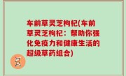 车前草灵芝枸杞(车前草灵芝枸杞：帮助你强化免疫力和健康生活的超级草药组合)