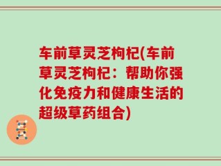 车前草灵芝枸杞(车前草灵芝枸杞：帮助你强化免疫力和健康生活的超级草药组合)