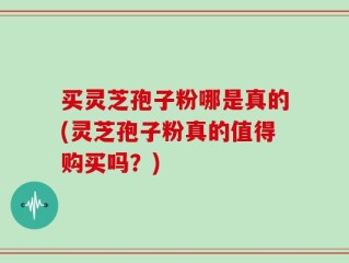 买灵芝孢子粉哪是真的(灵芝孢子粉真的值得购买吗？)