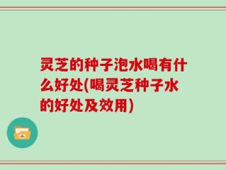 灵芝的种子泡水喝有什么好处(喝灵芝种子水的好处及效用)