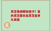 灵芝夜间释放孢子？室内灵芝菌长出灵芝后多久采摘