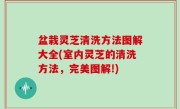 盆栽灵芝清洗方法图解大全(室内灵芝的清洗方法，完美图解!)