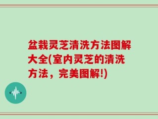 盆栽灵芝清洗方法图解大全(室内灵芝的清洗方法，完美图解!)