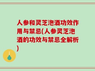 人参和灵芝泡酒功效作用与禁忌(人参灵芝泡酒的功效与禁忌全解析)