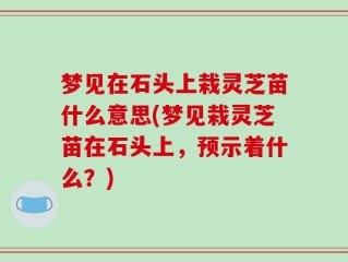 梦见在石头上栽灵芝苗什么意思(梦见栽灵芝苗在石头上，预示着什么？)