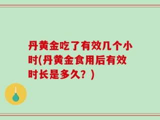 丹黄金吃了有效几个小时(丹黄金食用后有效时长是多久？)