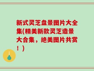新式灵芝盘景图片大全集(精美新款灵芝造景大合集，绝美图片共赏！)