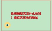 徐州破壁灵芝什么价钱？南京灵芝收购地址