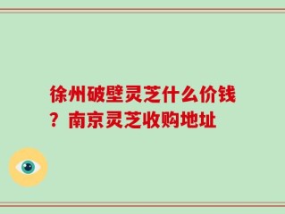 徐州破壁灵芝什么价钱？南京灵芝收购地址