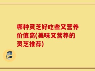 哪种灵芝好吃些又营养价值高(美味又营养的灵芝推荐)