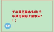 千年灵芝是木头吗(千年灵芝实际上是木头？！)