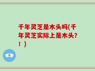 千年灵芝是木头吗(千年灵芝实际上是木头？！)