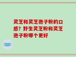 灵芝和灵芝孢子粉的口感？野生灵芝粉和灵芝孢子粉哪个更好