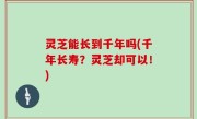 灵芝能长到千年吗(千年长寿？灵芝却可以！)