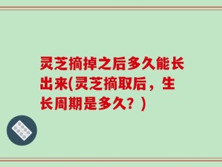 灵芝摘掉之后多久能长出来(灵芝摘取后，生长周期是多久？)