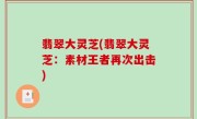 翡翠大灵芝(翡翠大灵芝：素材王者再次出击)