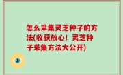 怎么采集灵芝种子的方法(收获放心！灵芝种子采集方法大公开)