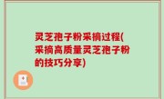 灵芝孢子粉采摘过程(采摘高质量灵芝孢子粉的技巧分享)