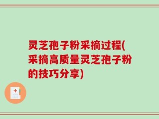 灵芝孢子粉采摘过程(采摘高质量灵芝孢子粉的技巧分享)