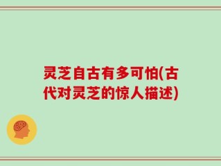灵芝自古有多可怕(古代对灵芝的惊人描述)