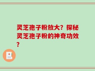 灵芝孢子粉放大？探秘灵芝孢子粉的神奇功效？