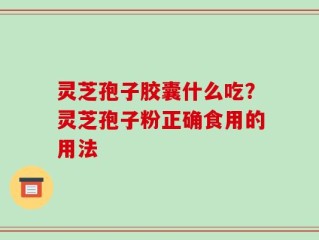 灵芝孢子胶囊什么吃？灵芝孢子粉正确食用的用法