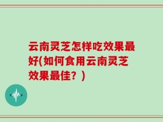 云南灵芝怎样吃效果最好(如何食用云南灵芝效果最佳？)