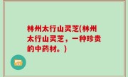 林州太行山灵芝(林州太行山灵芝，一种珍贵的中药材。)