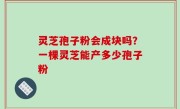 灵芝孢子粉会成块吗？一棵灵芝能产多少孢子粉