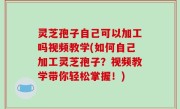 灵芝孢子自己可以加工吗视频教学(如何自己加工灵芝孢子？视频教学带你轻松掌握！)