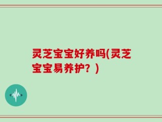 灵芝宝宝好养吗(灵芝宝宝易养护？)