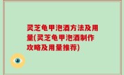 灵芝龟甲泡酒方法及用量(灵芝龟甲泡酒制作攻略及用量推荐)