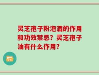 灵芝孢子粉泡酒的作用和功效禁忌？灵芝孢子油有什么作用？