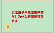 灵芝孢子采集法视频教学？为什么赶海视频那么多