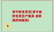 景宁野生灵芝(景宁县野生灵芝产量高 创民族药材新高)