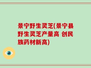 景宁野生灵芝(景宁县野生灵芝产量高 创民族药材新高)