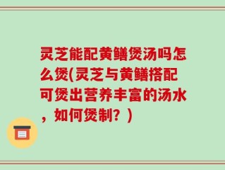 灵芝能配黄鳝煲汤吗怎么煲(灵芝与黄鳝搭配可煲出营养丰富的汤水，如何煲制？)