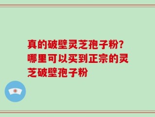 真的破壁灵芝孢子粉？哪里可以买到正宗的灵芝破壁孢子粉