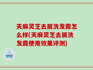 天麻灵芝去屑洗发露怎么样(天麻灵芝去屑洗发露使用效果评测)