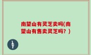 南望山有灵芝卖吗(南望山有售卖灵芝吗？)