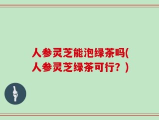 人参灵芝能泡绿茶吗(人参灵芝绿茶可行？)