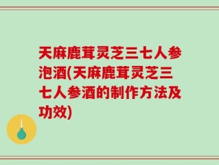 天麻鹿茸灵芝三七人参泡酒(天麻鹿茸灵芝三七人参酒的制作方法及功效)