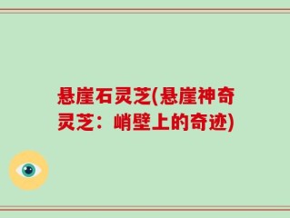 悬崖石灵芝(悬崖神奇灵芝：峭壁上的奇迹)
