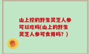 山上挖的野生灵芝人参可以吃吗(山上的野生灵芝人参可食用吗？)
