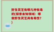 野生灵芝有哪几种有毒的(探索未知领域：哪些野生灵芝具有毒性？)
