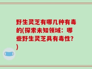 野生灵芝有哪几种有毒的(探索未知领域：哪些野生灵芝具有毒性？)