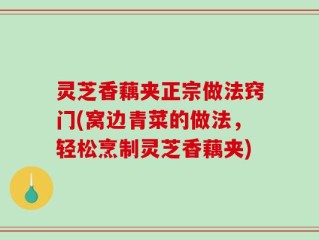 灵芝香藕夹正宗做法窍门(窝边青菜的做法，轻松烹制灵芝香藕夹)
