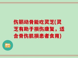 伤筋动骨能吃灵芝(灵芝有助于损伤康复，适合骨伤肌损患者食用)