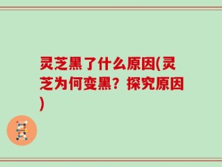 灵芝黑了什么原因(灵芝为何变黑？探究原因)